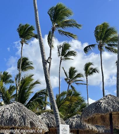 Traveller picture - Majestic Colonial Punta Cana
