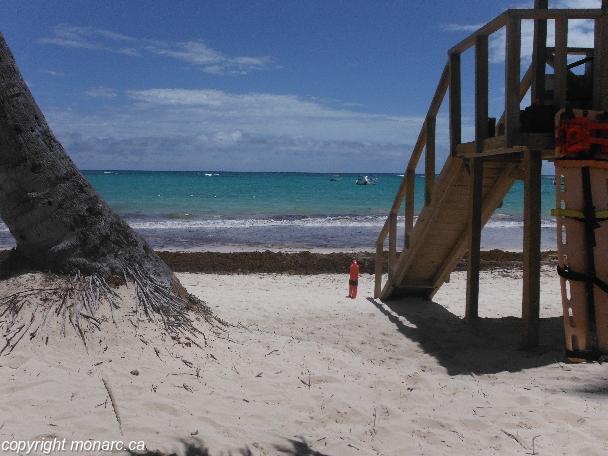 Traveller picture - Grand Palladium Punta Cana