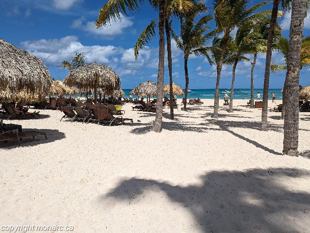 Traveller picture - Dreams Royal Beach Punta Cana
