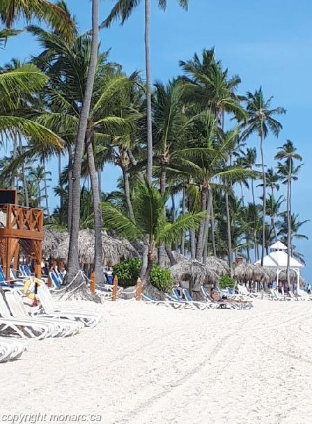 Traveller picture - Majestic Elegance Punta Cana