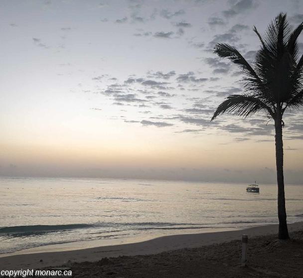 Photo de voyageur - Bahia Principe Grand Punta Cana