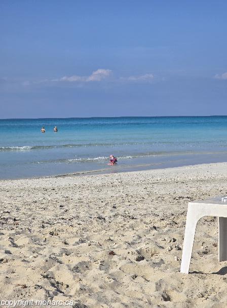 Traveller picture - Paradisus Varadero