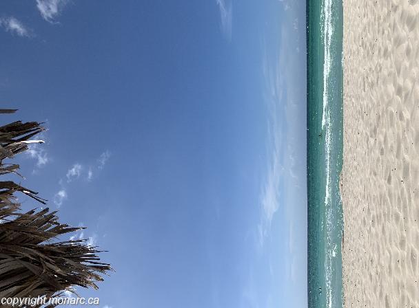 Traveller picture - Sol Varadero Beach 16 Plus