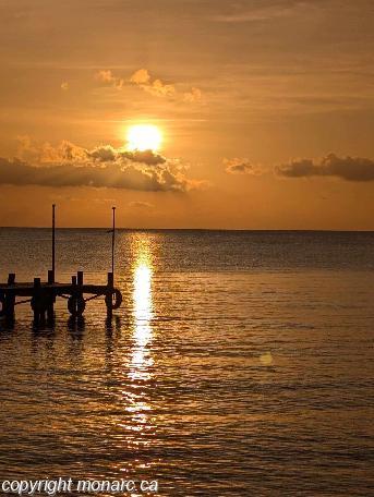 Traveller picture - Occidental Cozumel