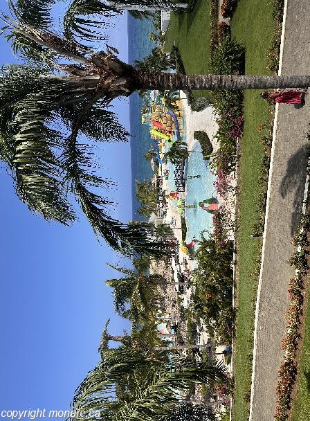 Traveller picture - Grand Palladium Jamaica Resort And Spa