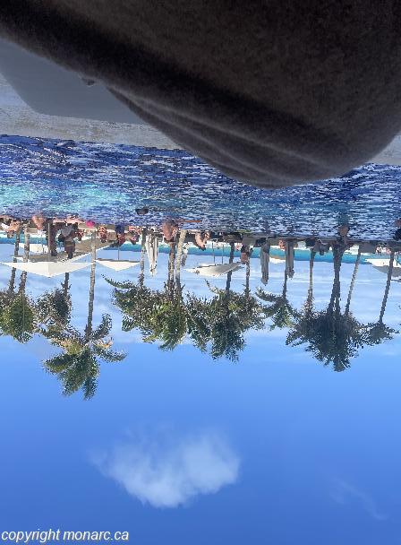 Traveller picture - Royalton Chic Cancun