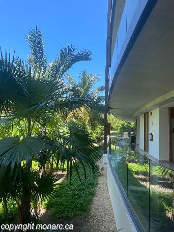 Photo de voyageur - Haven Riviera Cancun Resort And Spa