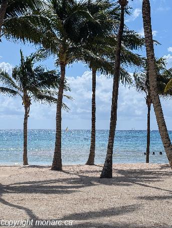 Traveller picture - Barcelo Maya Riviera