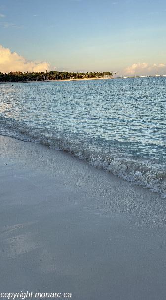 Traveller picture - Barcelo Maya Riviera