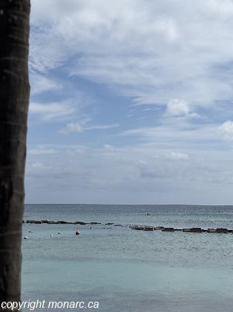 Photo de voyageur - Catalonia Yucatan Beach