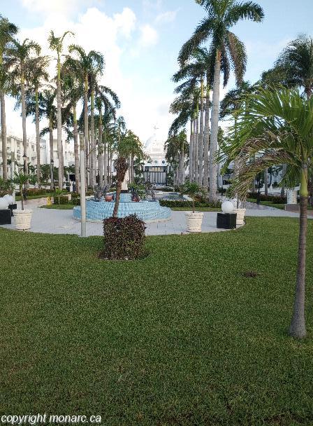 Traveller picture - Riu Palace Riviera Maya