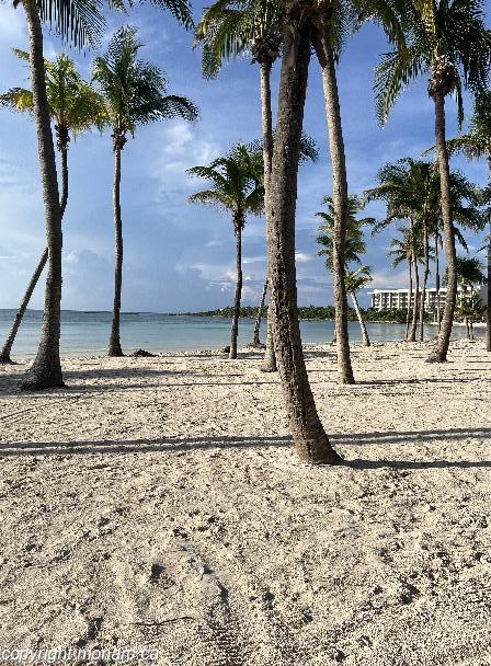 Traveller picture - Barcelo Maya Beach