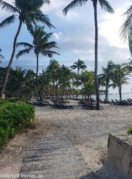 Traveller picture - Barcelo Maya Beach