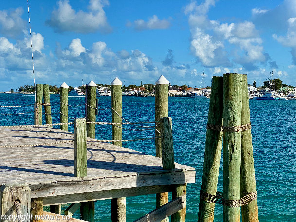 Traveller picture - Warwick Paradise Island Bahamas