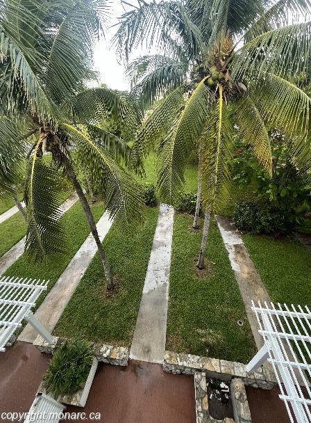 Traveller picture - Lighthouse Pointe At Grand Lucayan