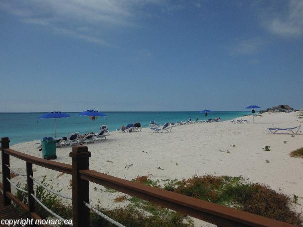 Traveller picture - Starfish Cayo Largo