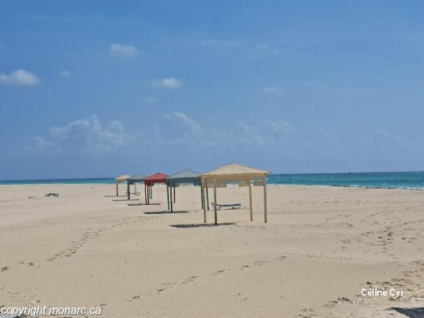 Traveller picture - Starfish Cayo Largo