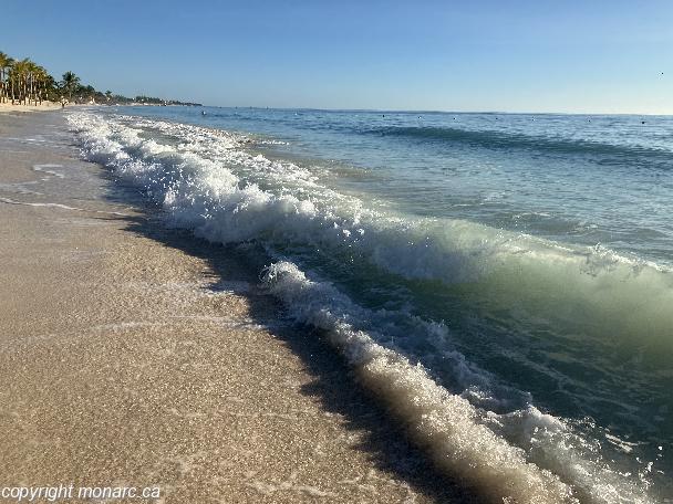 Photo de voyageur - Riu Dunamar