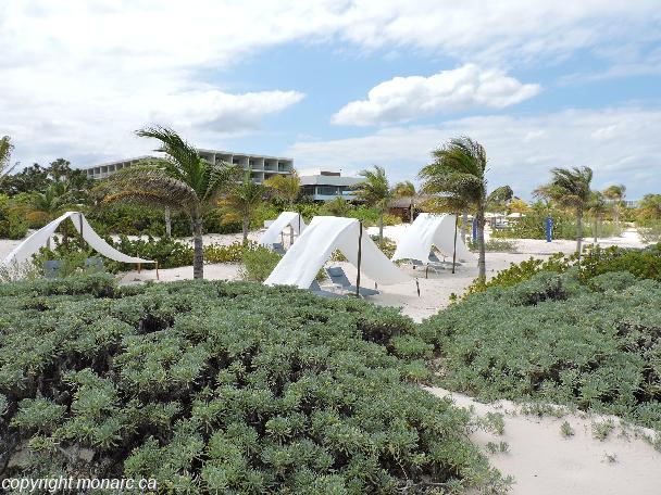 Traveller picture - Grand Palladium Costa Mujeres Resort And Spa