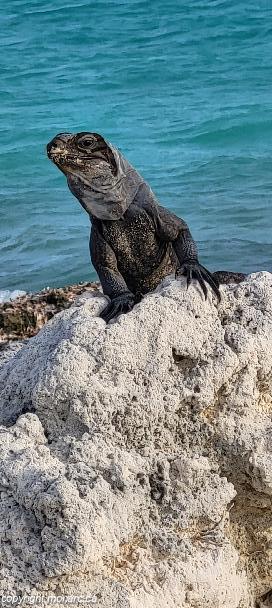 Photo de voyageur - Valentin Cayo Cruz