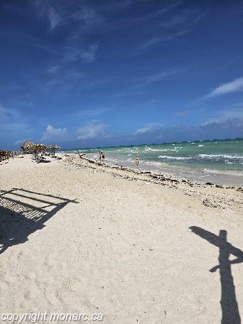 Traveller picture - Grand Aston Cayo Paredon Beach Resort