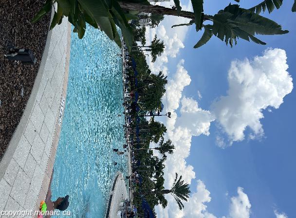 Traveller picture - The Grove Resort And Water Park Orlando