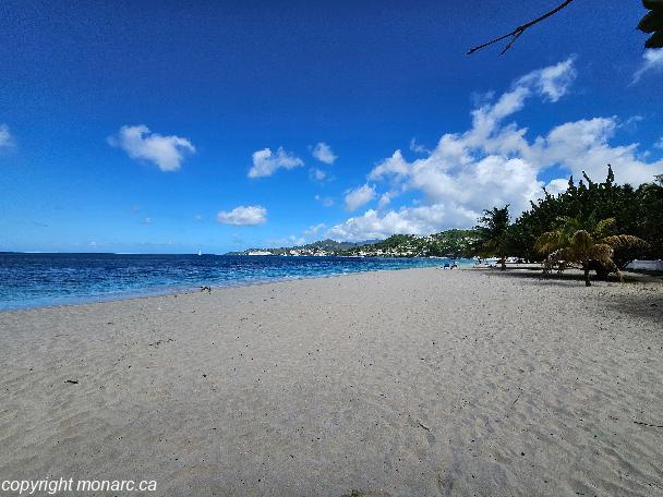Traveller picture - Radisson Grenada Beach Resort
