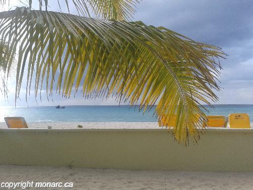 Commentaires Pour Rooms On The Beach Negril Negril Jama Que Monarc   1487258110 20170208 160941 