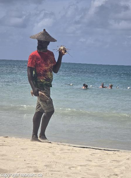 Photo de voyageur - Azul Beach Resort Negril