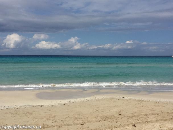 Traveller picture - Blau Arenal Habana Beach