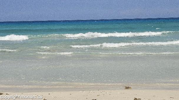 Traveller picture - Blau Arenal Habana Beach