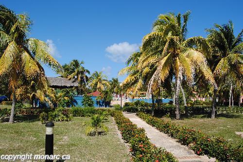 Reviews for Resonance Blu Santa Lucia, Santa Lucia (Camaguey), Cuba ...