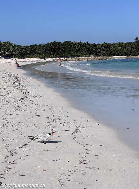 Photo de voyageur - Sanctuary At Grand Memories Holguin 