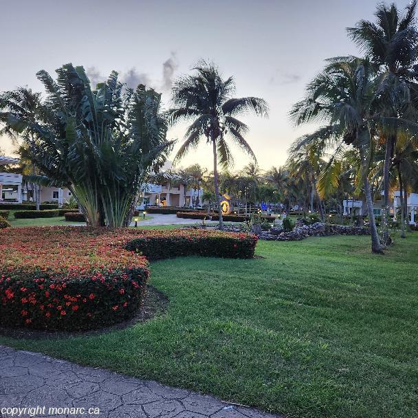 Traveller picture - Paradisus Rio De Oro And Spa