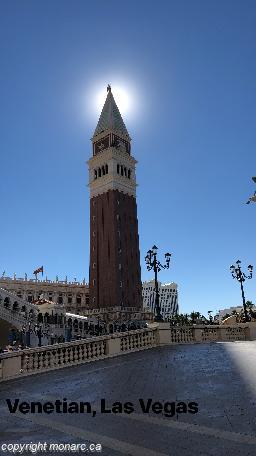 Traveller picture - The Venetian Resort