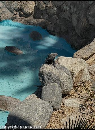 Photo de voyageur - Posada Real Los Cabos