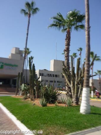 Traveller picture - Holiday Inn Resort Los Cabos All Inclusive