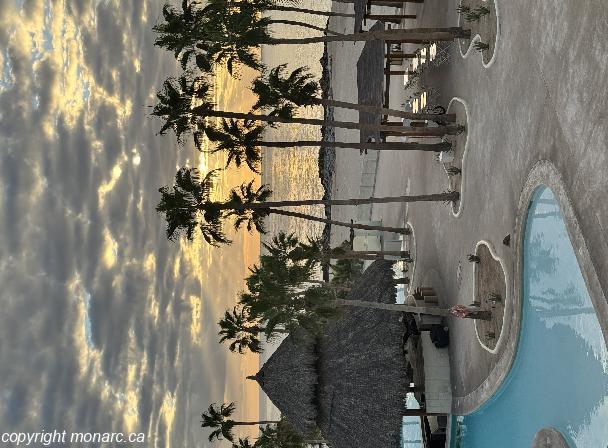 Traveller picture - Paradisus Los Cabos - Adults Only