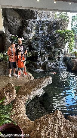 Photo de voyageur - Aston At The Waikiki Banyan