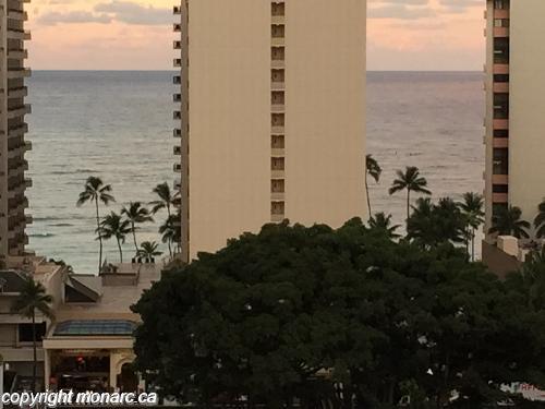Traveller picture - Hilton Garden Inn Waikiki Beach