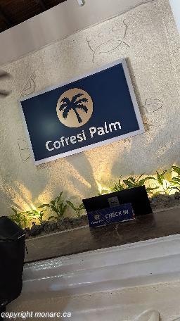 Photo de voyageur - Cofresi Palm Beach And Spa Resort