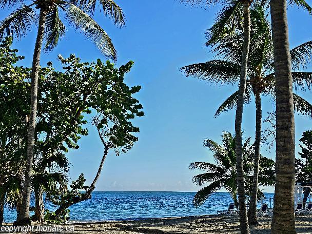 Photo de voyageur - Senator Puerto Plata Spa Resort