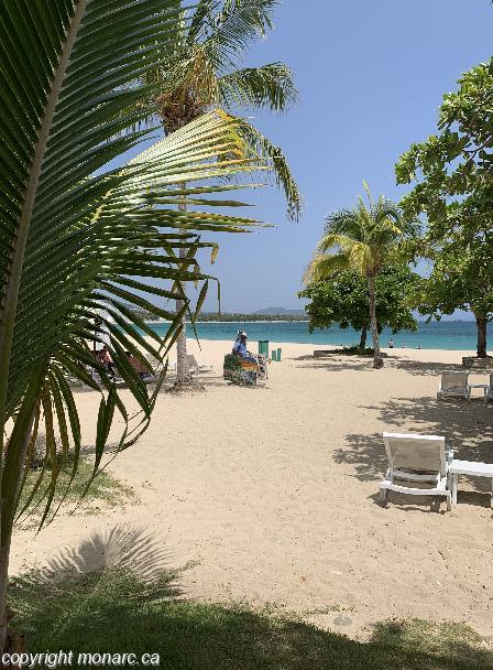 Reviews for Paradise Playa Dorada, Puerto Plata, Dominican Republic ...