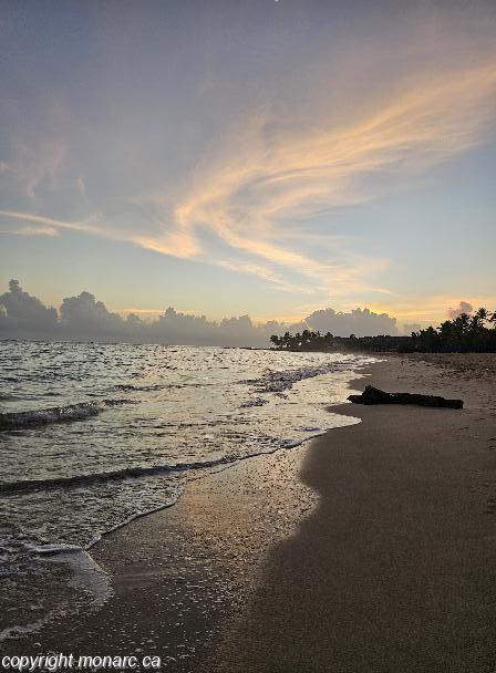 Traveller picture - Emotions By Hodelpa Puerto Plata