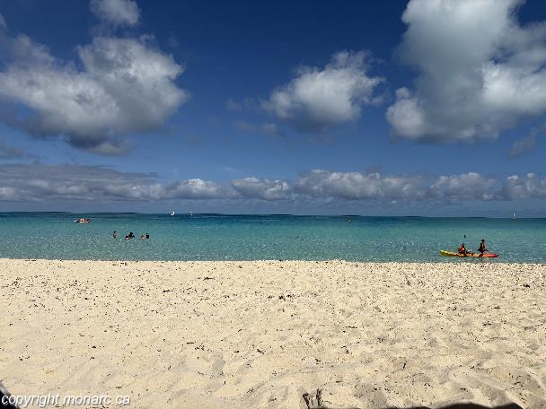 Photo de voyageur - Melia Las Dunas