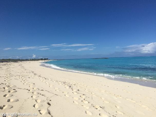 Reviews for Starfish Cayo Santa Maria, Cayo Santa Maria, Cuba | Monarc ...