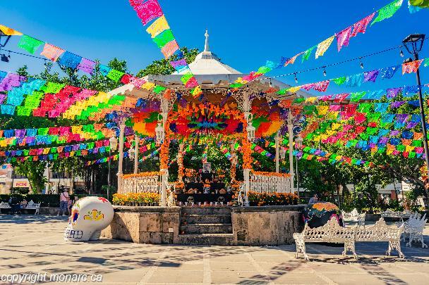 Traveller picture - Canto Del Sol Puerto Vallarta