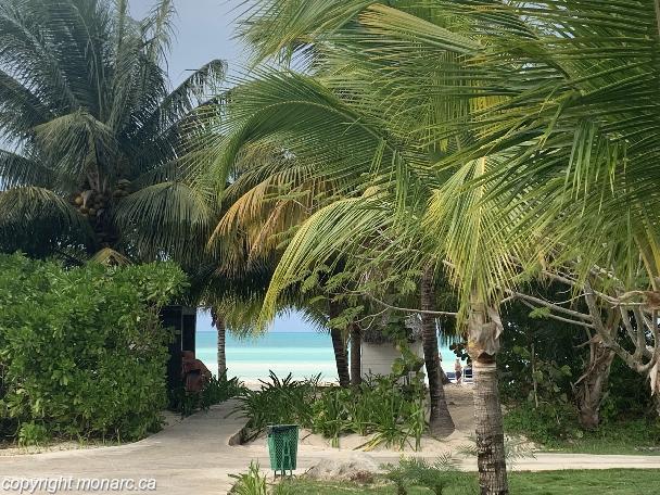 Traveller picture - Memories Caribe Beach Resort