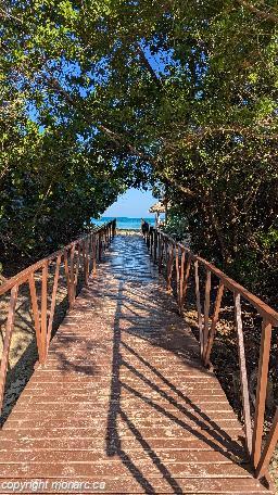 Traveller picture - Memories Caribe Beach Resort