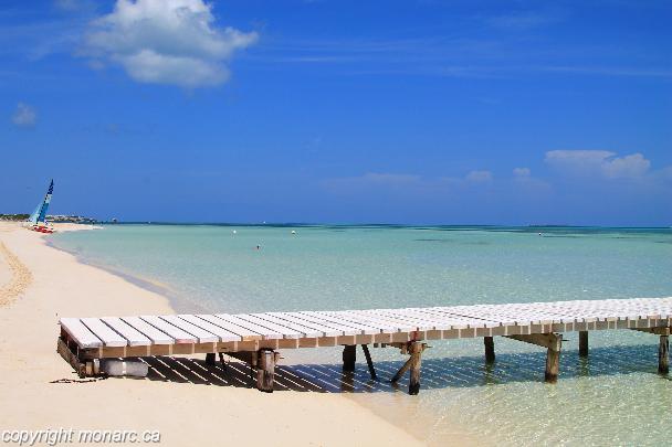 reviews-for-starfish-cayo-guillermo-cayo-coco-cuba-monarc-ca